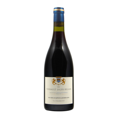 Vini di Borgogna vino naturale Nuits St Georges Les Charmottes (2013)