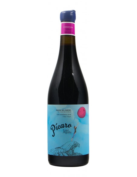 PICARO DEL AGUILA TINTO