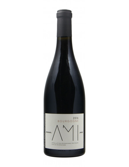 BOURGOGNE ROUGE 2016 DOMAINE AMI GRANDI BOTTIGLIE