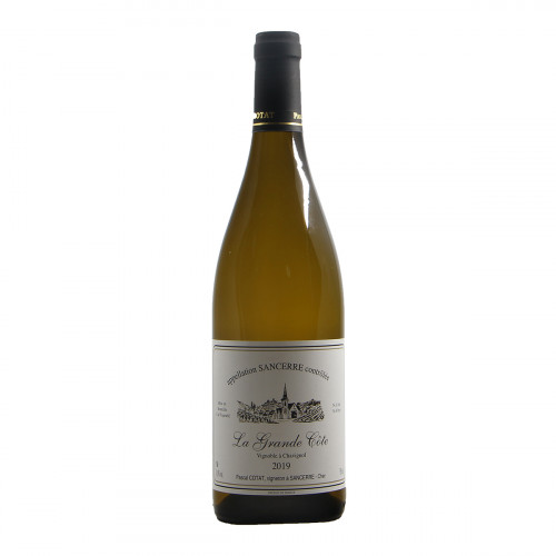 PASCAL COTAT SANCERRE LA GRANDE COTE 2019 Grandi Bottiglie