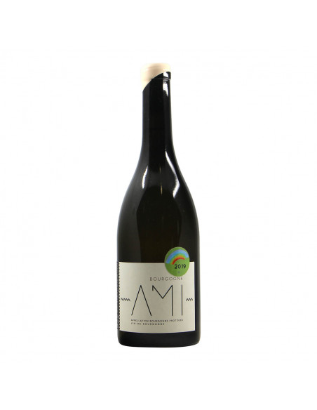 Domaine Ami Bourgogne Blanc 2019 Grandi Bottiglie