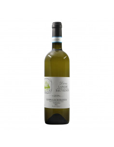 Burlotto Langhe Sauvignon Dives 2019 Grandi Bottiglie