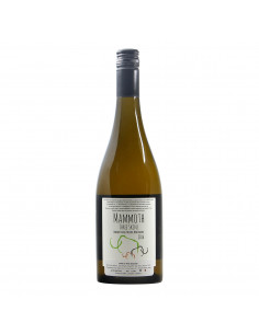 Mammoth Wines Mammoth Pinot Noir 2016 Grandi Bottiglie retro 2