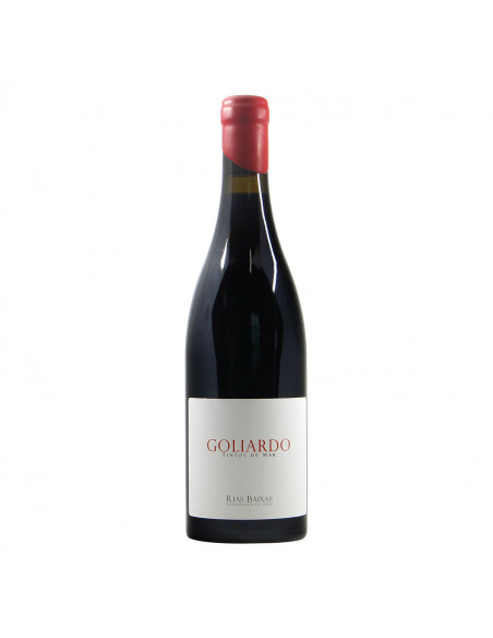 Bodegas Forjas del Salnes Vino Atlanticos Goliardo Tinto 2018 Grandi Bottiglie