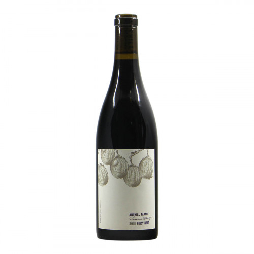 Anthill Farms Sonoma Coast 2018 Grandi Bottiglie