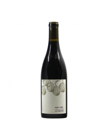 Anthill Farms Sonoma Coast 2018 Grandi Bottiglie