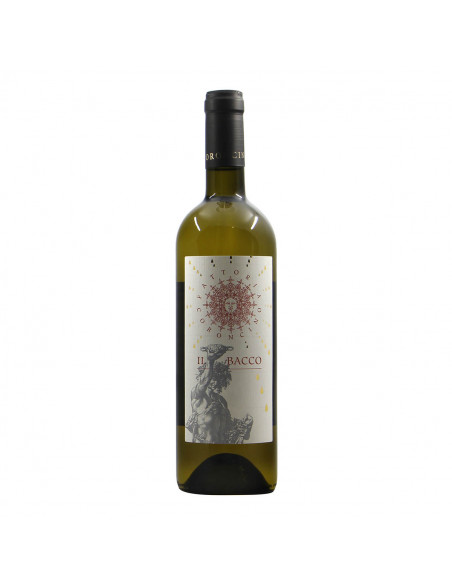 Fattoria Il Coroncino Verdicchio Il Bacco 2019 Grandi Bottiglie