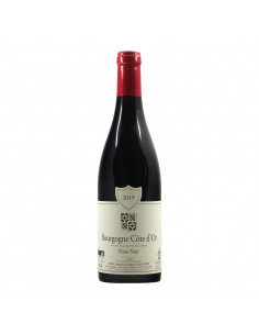 Domaine Chicot Bourgogne Cote d Or Pinot Noir 2019 Grandi Bottiglie