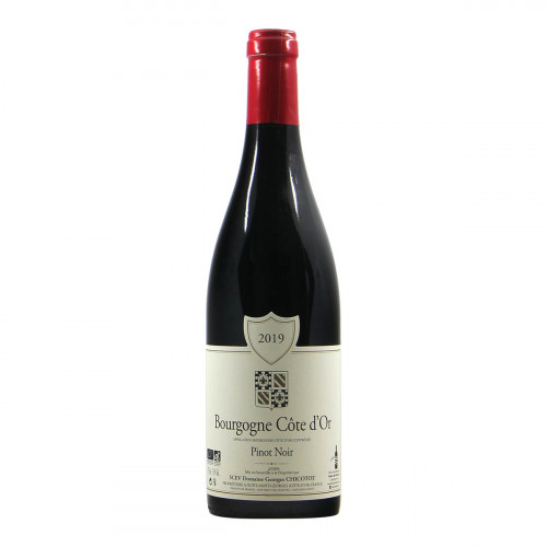 Domaine Chicot Bourgogne Cote d Or Pinot Noir 2019 Grandi Bottiglie