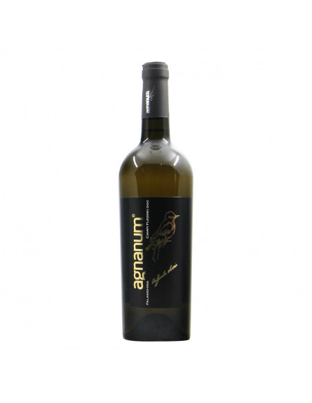 Agnanum Campi Flegrei Falanghina 2019 Grandi Bottiglie