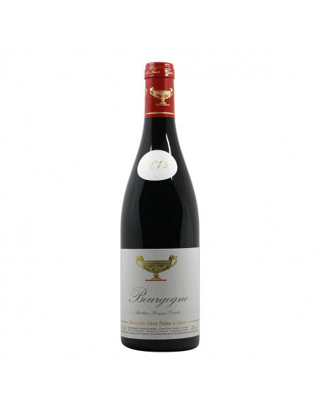 Domaine Gros Frere et Soeur Bourgogne 2019 Grandi Bottiglie