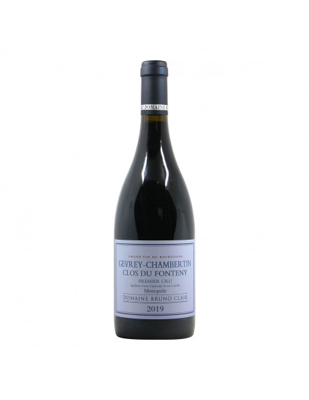 Domaine Bruno Clair Gevrey Chambertin 1er Cru Clos du Fonteny 2019 Grandi Bottiglie