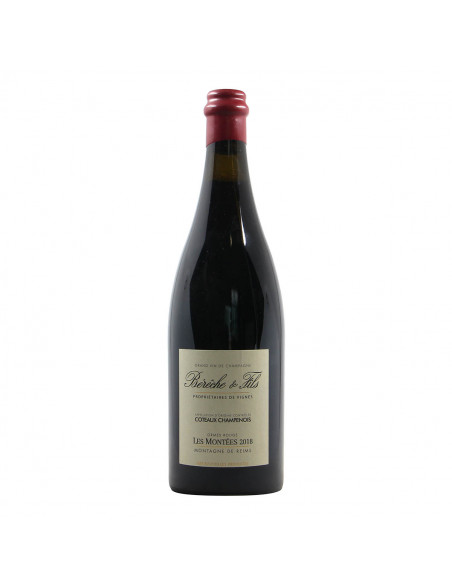 Bereche Coteaux Champenois Les Montees 2018 Grandi Bottiglie