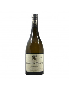 Fabien Coche Bourgogne Cote d Or 2019 Grandi Bottiglie
