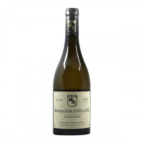 Fabien Coche Bourgogne Cote d Or 2019 Grandi Bottiglie