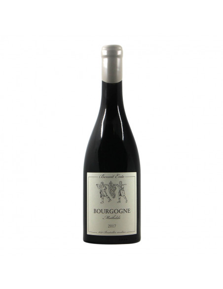 Benoit Ente Bourgogne Mathilde 2017 Grandi Bottiglie