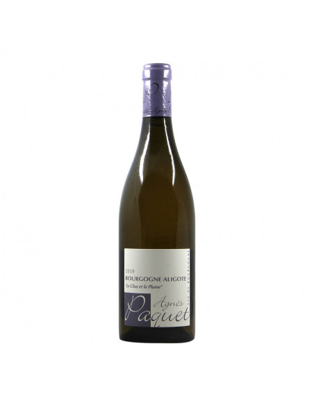 Agnes Paquet Bourgogne Aligoté Le Clou et la Plume 2019