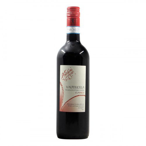 Antolini Valpolicella Classico 2020 Grandi Bottiglie