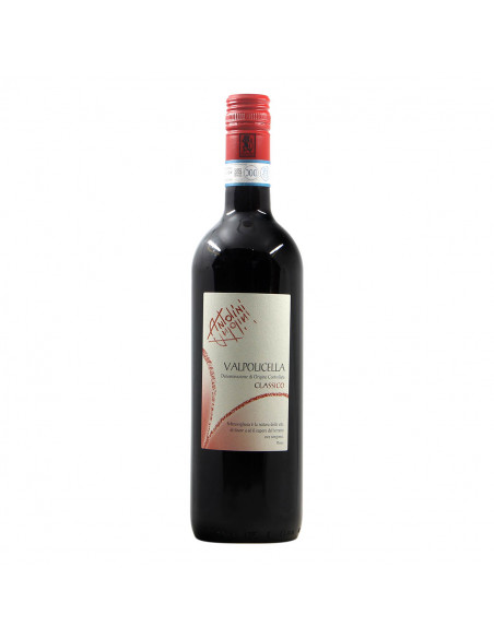 Antolini Valpolicella Classico 2020 Grandi Bottiglie