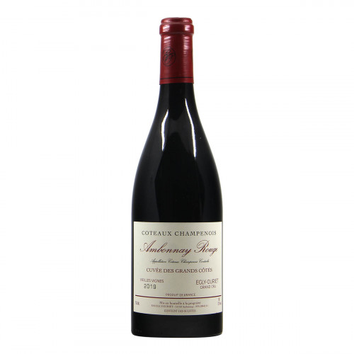 Egly Ouriet Coteaux Champenois Cuvee des Grands Cots 2019 Grandi Bottiglie