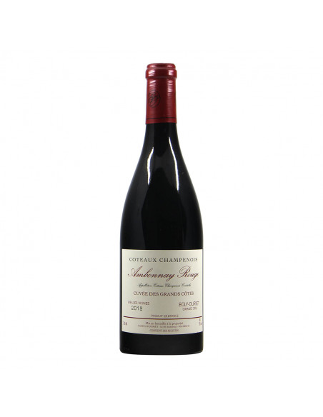 Egly Ouriet Coteaux Champenois Cuvee des Grands Cots 2019 Grandi Bottiglie