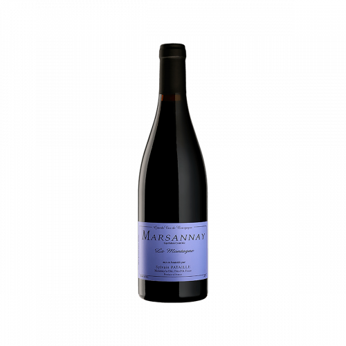 MARSANNAY LA MONTAGNE 2019 SYLVAIN...