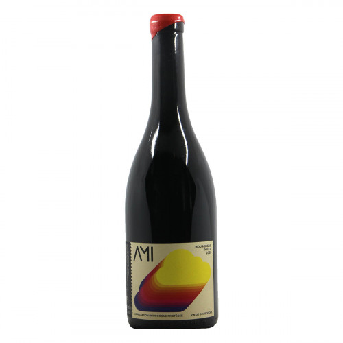 Domaine AMI Bourgogne Rouge 2020 Grandi Bottiglie