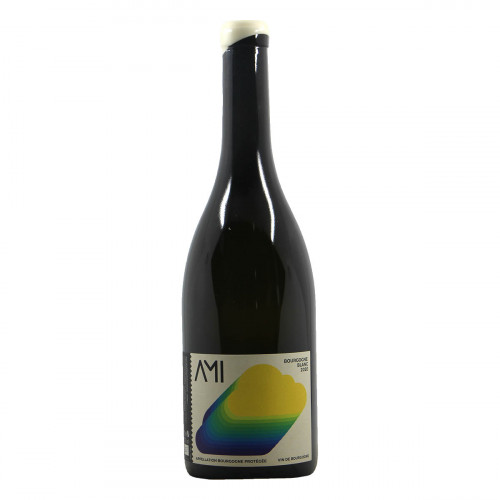Domaine Ami Bourgogne Blanc 2020 Grandi Bottiglie