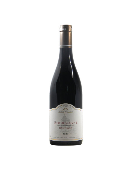 Domaine Larue Bourgogne Pinot Noir 2020 Grandi Bottiglie