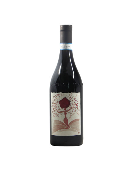 Luigi Vico Langhe Barbera Robur Vitae 2019 Fronte Grandi Bottiglie
