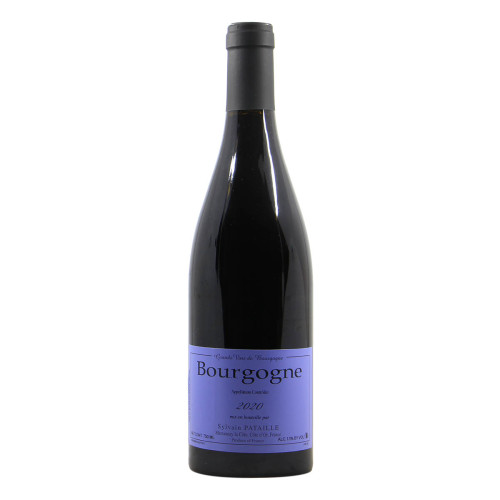 Sylvain Pataille Bourgogne Rouge 2020 Grandi Bottiglie