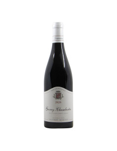 
                                                            Thierry Mortet Gevrey Chambertin 2020 Grandi Bottiglie
                            