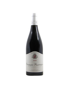 
                                                            Thierry Mortet Bourgogne Bourgogne Passetoutgrain 2020 Grandi Bottiglie
                            