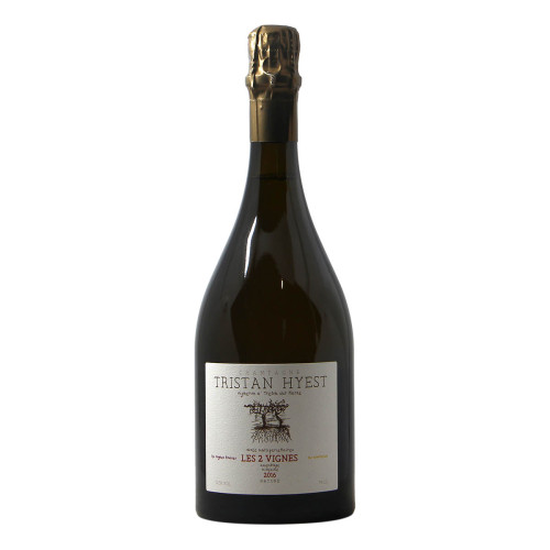 Tristan Hyest Champagne Les 2 Vignes 2016 Grandi bottiglie