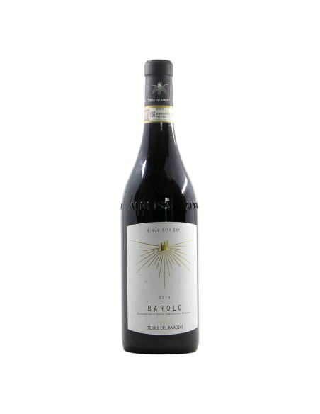 Terre del Barolo Barolo 2013