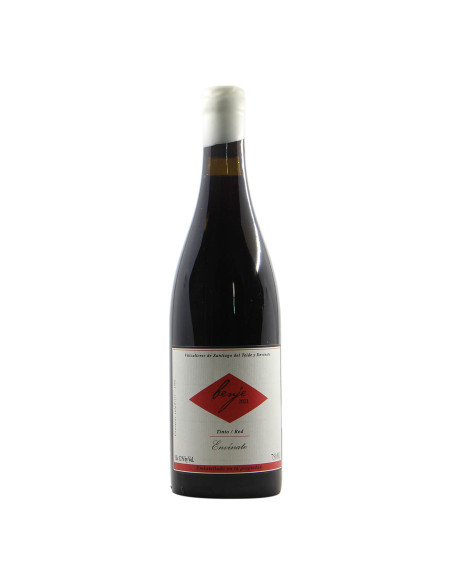 Envinate Benje Tinto 2021 Grandi Bottiglie