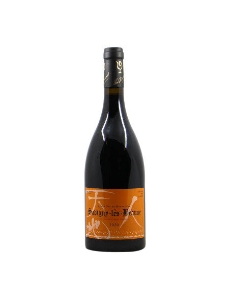 Lou Dumont Nakada Savigny les Beaune 2020 Grandi Bottiglie