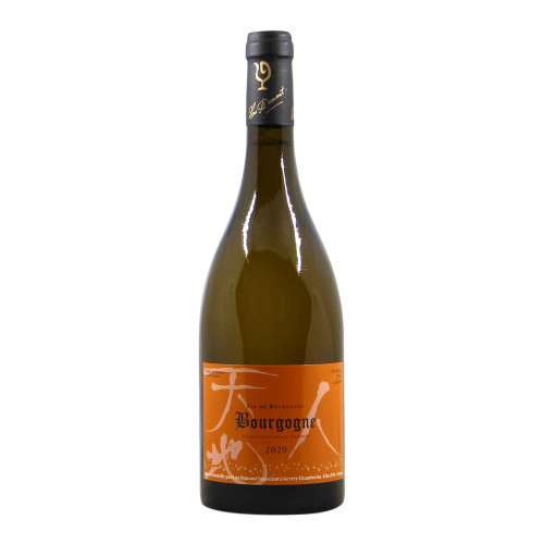 Lou Dumont Nakada Bourgogne Blanc 2020 Grandi Bottiglie