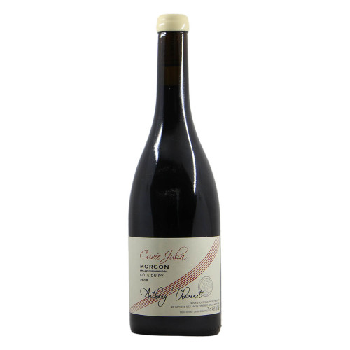 Domaine Anthony Thevenet Morgon Cote du Py Cuvee Julia 2019 Grandi Bottiglie