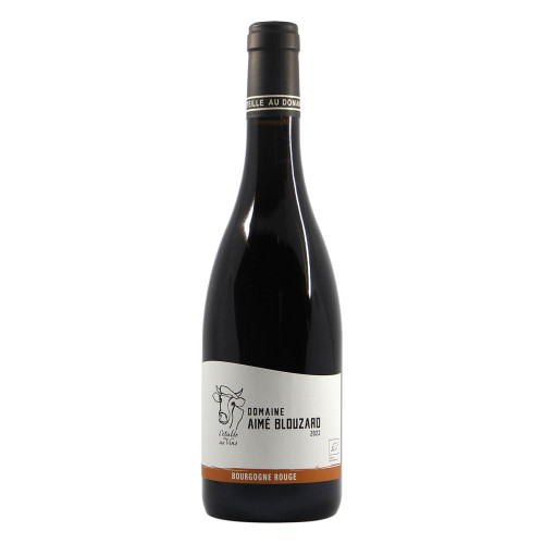 Domaine Aime Blouzard Bourgogne Rouge 2022 Grandi Bottiglie