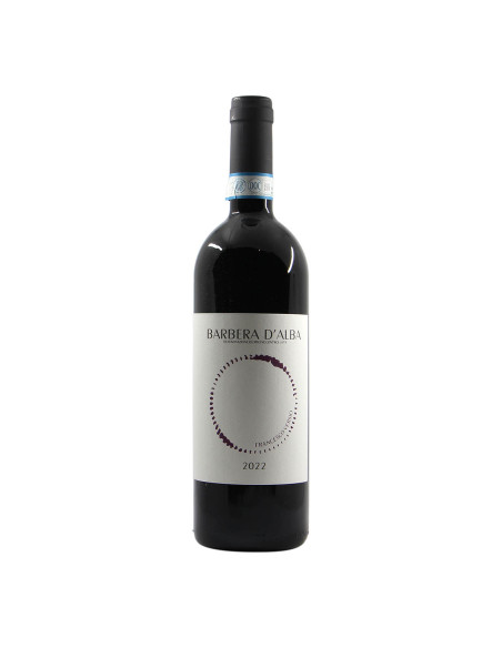 Francesco Versio Barbera d Alba 2022 Grandi Bottiglie