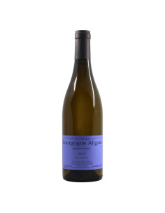 Sylvain Pataille Bourgogne Aligote 2022 Grandi Bottiglie