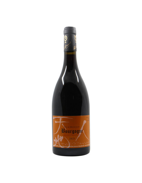 Lou Dumont Bourgogne Rouge 2021 Grandi Bottiglie