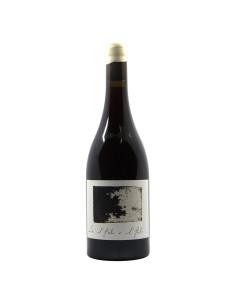 Domaine Maryse Chatelin Pinot Noir da L Aube a L Aube 2021 Grandi Bottiglie