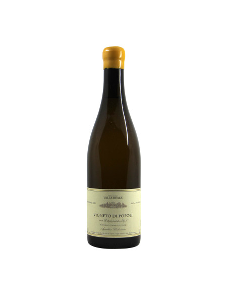 Valle Reale Trebbiano d Abruzzo Vigneto di Popoli 2021 Grandi Bottiglie