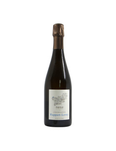 Ruppert-Leroy Champagne Puzzle Grandi Bottiglie