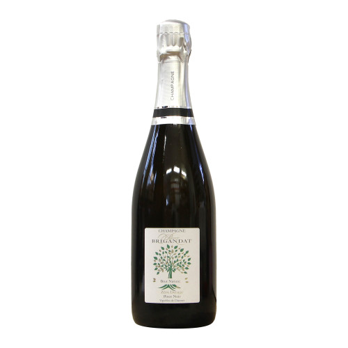 Pierre Brigandat Champagne Tradition Grandi Bottiglie