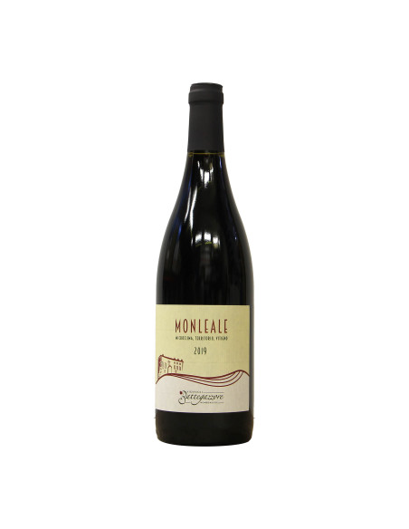 Battegazzore Monleale Colli Tortonesi 2019 Grandi Bottiglie