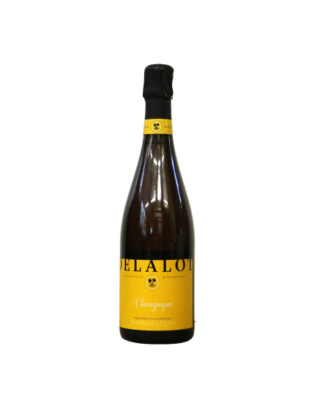Champagne Impressions Delalot Grandi Bottiglie