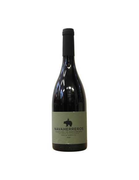 Bodegas Bernabeleva Navaherreros 2020 Grandi Bottiglie